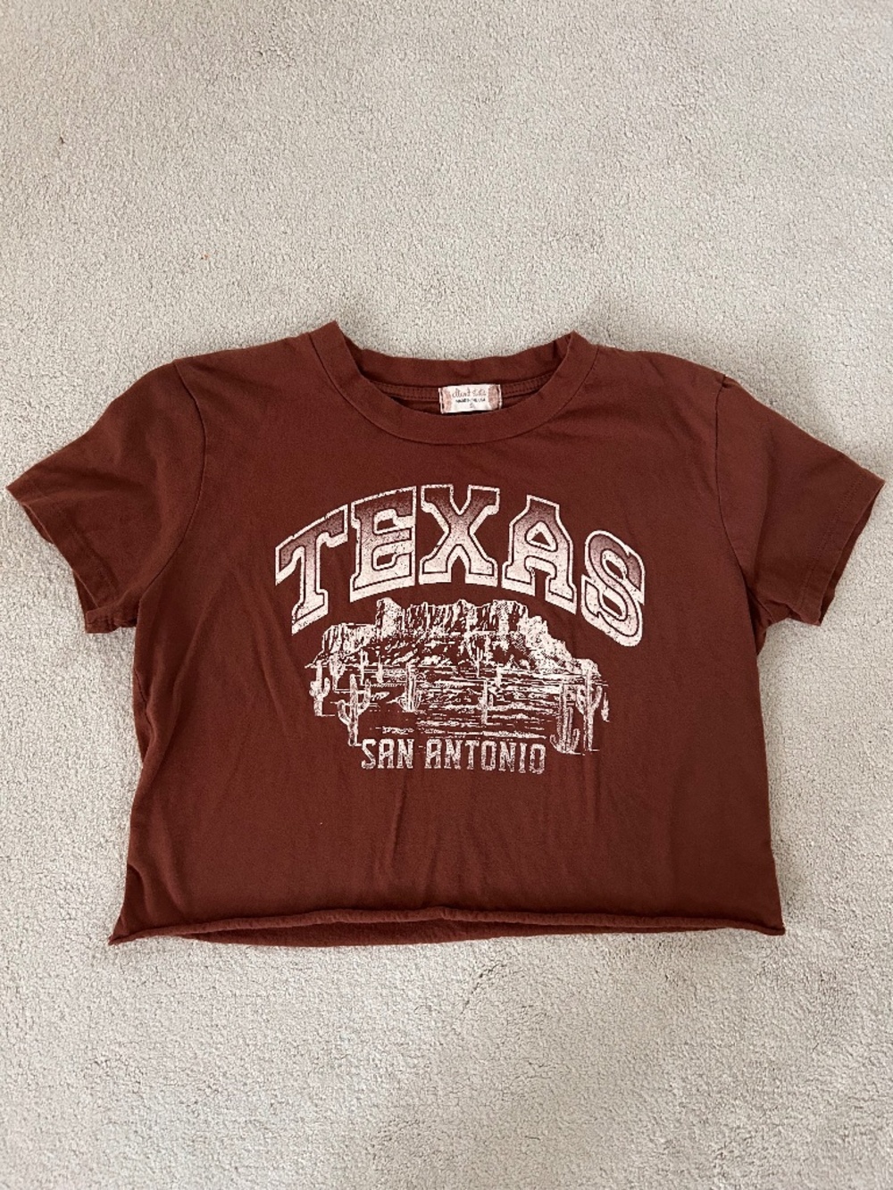 Altar’d State Texas crop top size Small
